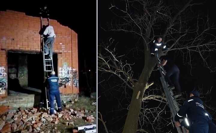 Спасатели ПСП1 в Таганроге спускают детей с дерева и крыши. Фото МКУ «Защиты от ЧС»