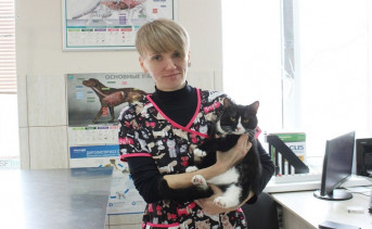 Кот в ветклинике. Фото donland.ru