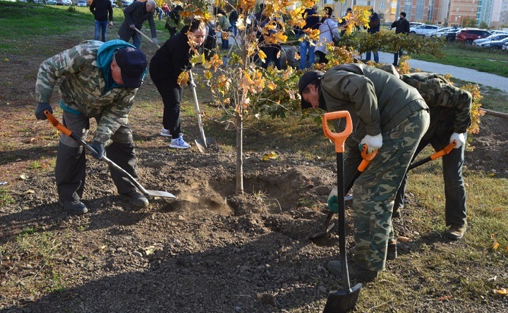 Посадка деревьев во время традиционной акции. Фото donland.ru