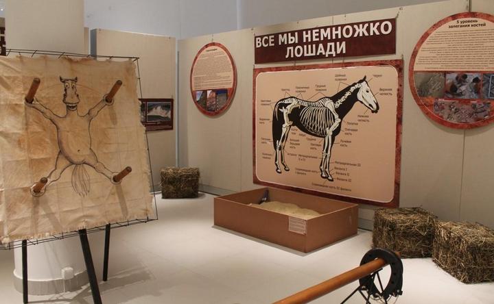 Выставочная композиция в Азовском музее-заповеднике. Фото @azovmuseum