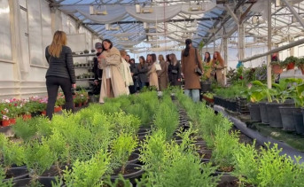 Малое пердприятие по выращиванию цветов. Фото donland.ru