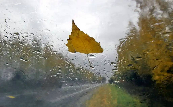 Осенний лист на лобовом стекле. Фото для иллюстрации ruffnews.ru
