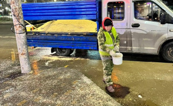 Обработка тротуаров от наледи. Фото из telegram-канала Алексея Логвиненко