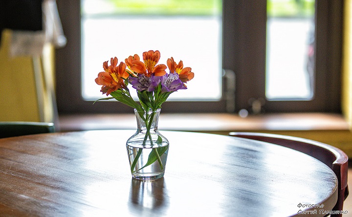 Цветы на столе. Фото Сергея Плишенко