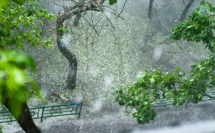 Сильный дождь. Фото dzen.ru