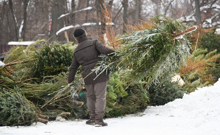 Возврат билетов ржд. Возврат билетов на концерт. Порядок возврата билетов. Можно ли сдать билеты на елку. Билет в цирк.