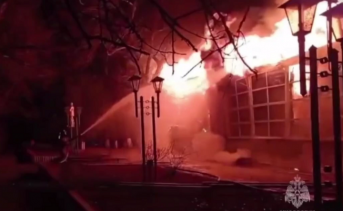 Пожар в Дмитриадовке. Фото пресс-службы МЧС по Ростовской области