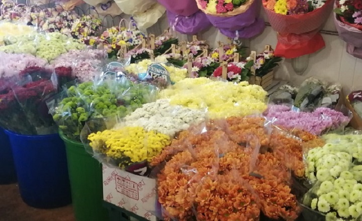 Хризантемы. Фото donnews.ru