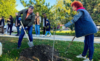 В Азове в День древонасаждения появилось около 300 новых деревьев