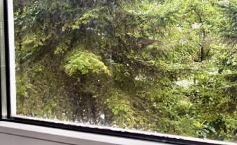 Дождь за окном. Фото ruffnews.ru