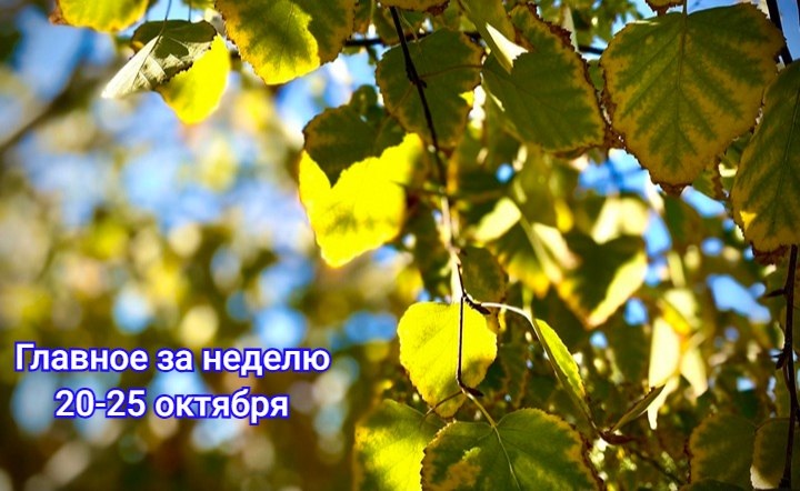 Осенние листья. Фото ruffnews.ru