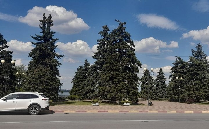 Смотровая площадка. Фото Ольги Максимовой