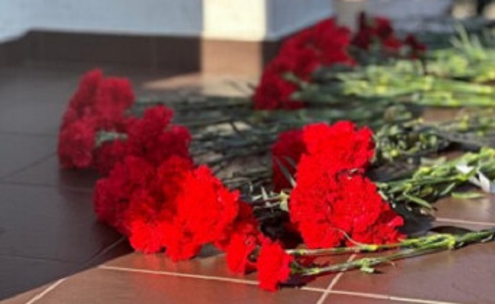 Гвоздики. Фото Дениса Лагутина