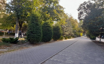 Петровский бульвар. Фото Ольги Максимовой