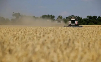 Сбор урожая. Фото пресс-службы губернатора Ростовской области