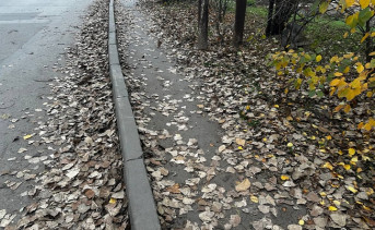 Засыпанный листьями тротуар. Фото telegram-канала Николая Толмачёва