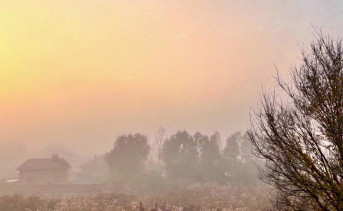 Ноябрь в Таганроге. Фото ruffnews.ru