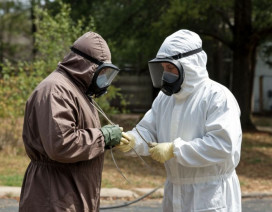 Изображение сгенерировано нейросетью Шедеврум