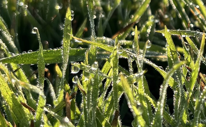 Ноябрь в Таганроге. Фото ruffnews.ru