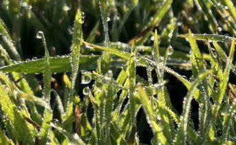 Ноябрь в Таганроге. Фото ruffnews.ru