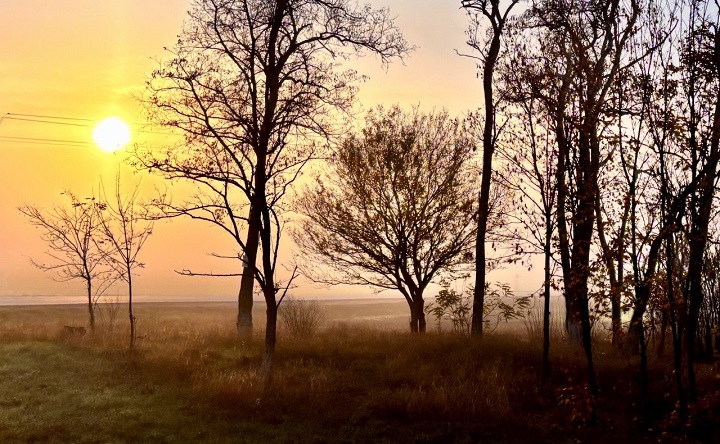 Утренний туман. Фото Елены Анисимовой/ruffnews.ru