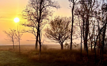 Утренний туман. Фото Елены Анисимовой/ruffnews.ru