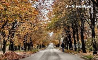 Переулок Глушко в Таганроге. Фото ruffnews.ru