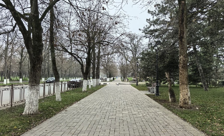 Петровский бульвар. Фото Романа Гурина