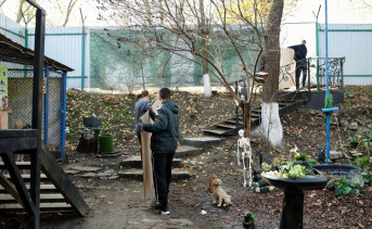 Субботник добровольцев в приюте «Дядя Феникс» в ноябре 2025 года. Фото telegram- канала благотворительного фонда охраны окружающей среды «Экосфера»