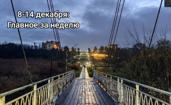 Подвесной мост. Фото Романа Гурина