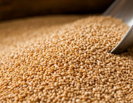 Изображение сгенерировано нейросетью Шедеврум