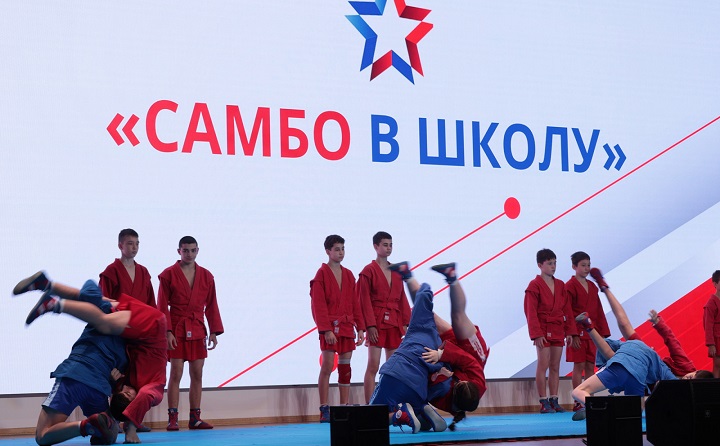 Показательные выступления самбистов. Фото пресс-службы губернатора Ростовской области