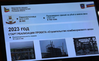 Слайд презентации совета по инвестициям. Фото пресс-службы губернатора Ростовской области