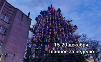 Елка у районной администрации. Фото Романа Гурина