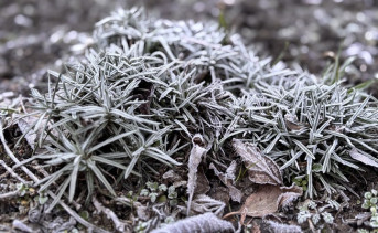 Декабрь в Таганроге. Фото ruffnews.ru