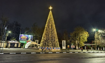 Новогодняя ёлка. Фото Романа Гурина