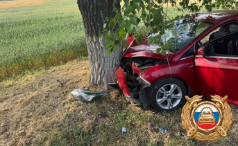 Место ДТП. Фото отдела пропаганды Госавтоинспекции Ростовской области
