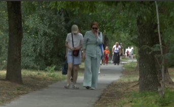 Аллея к БСМП Таганрога. Скриншот видео telegram-канала Светланы Камбуловой