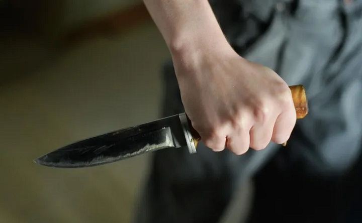 Нож в женской руке. Фото для иллюстрации pixabay