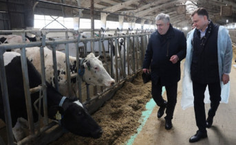 Юрий Слюсарь на ферме. Фото пресс-службы губернатора Ростовской области