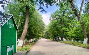 Парковая аллея. Фото пресс-службы городской Думы