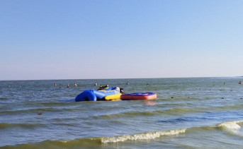 Банан на пляже Петрушино. Фото Екатерины Поляковой