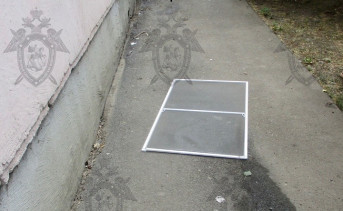 Москитная сетка на земле. Фото пресс-службы Следственного комитета по Ростовской области