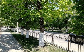 На Петровском бульваре. Фото ruffnews.ru