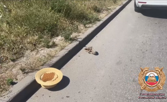 Место ДТП. Фото отдела пропаганды УГАИ по Ростовской области