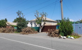 Спиленные ветки деревьев на улице. Фото Ольги Максимовой