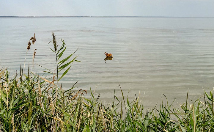 Таганрогский залив. Фото ruffnews.ru