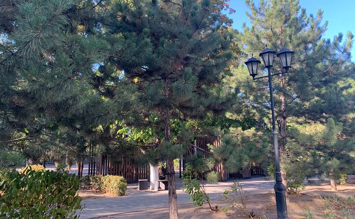 Петровский бульвар. Фото Ольга Максимова