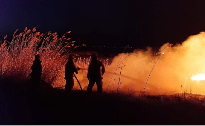 Тушение ландшафтного пожара. Архивное фото пресс-службы МЧС по Ростовской области