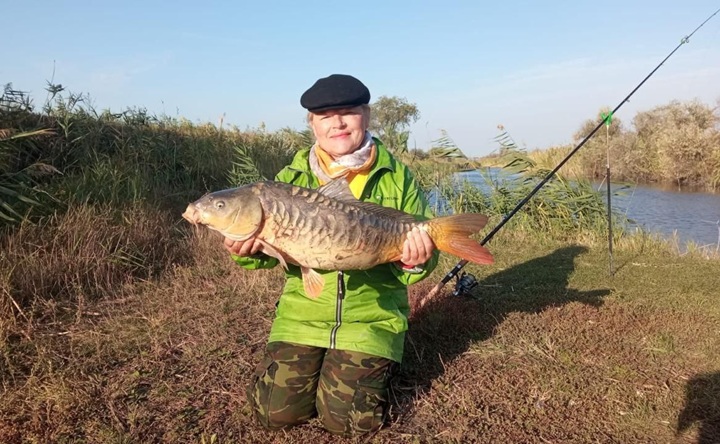 Пойманный карп. Фото telegram-канала «Парк Киммерия»